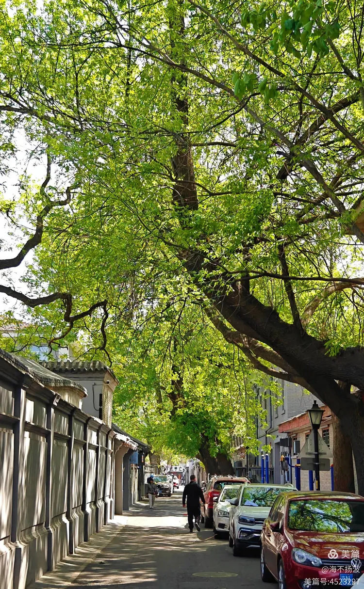 菊儿胡同,后圆恩寺胡同